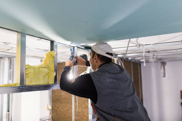 Best Energy Efficiency Insulation in Red Hill, PA